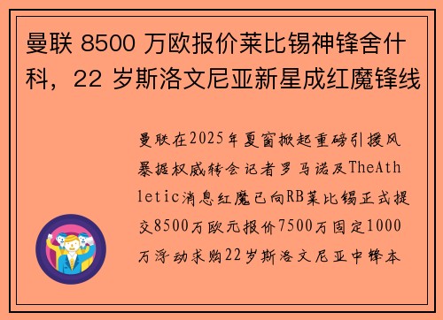 曼联 8500 万欧报价莱比锡神锋舍什科，22 岁斯洛文尼亚新星成红魔锋线重建核心
